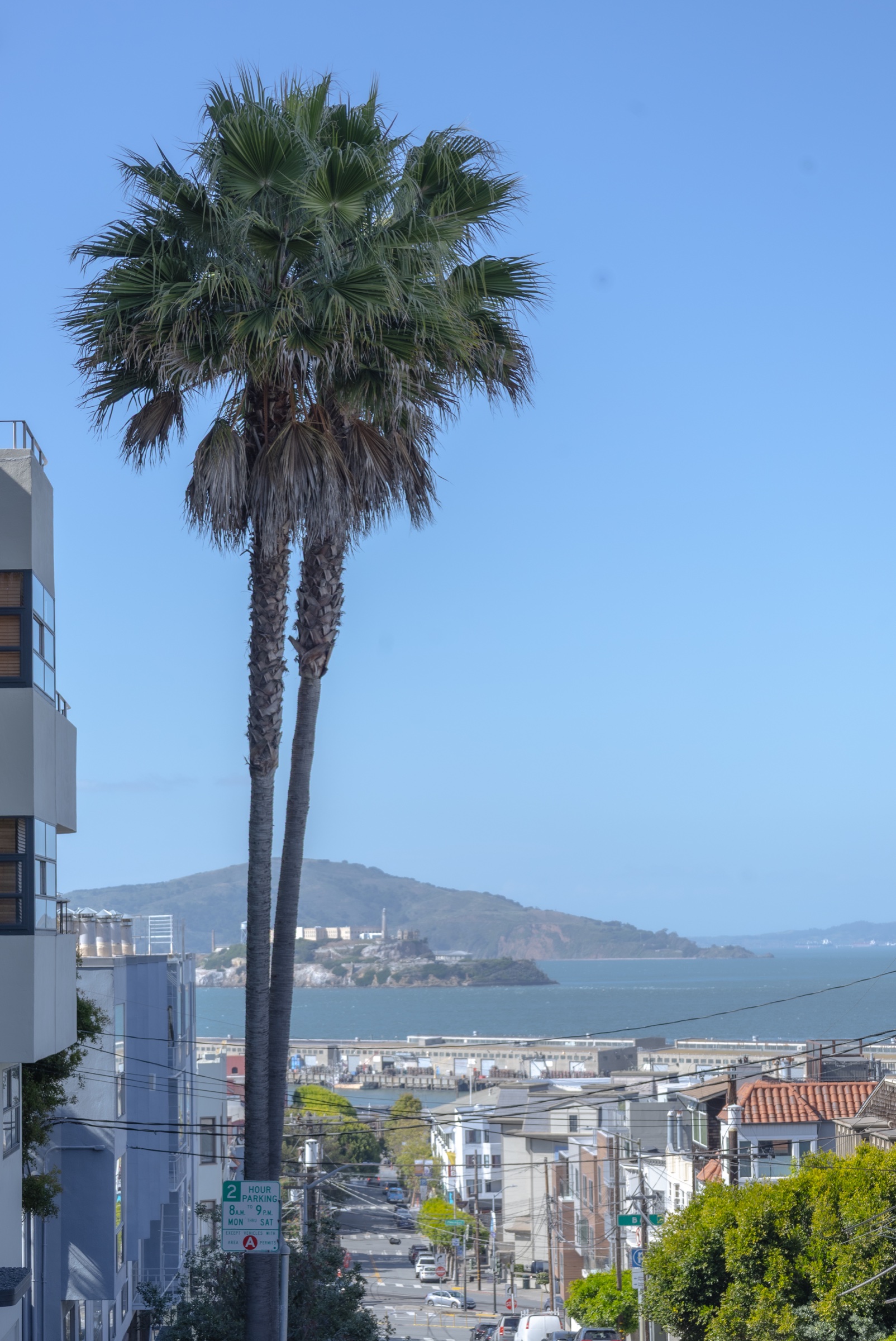 Twin palms over a street running down to San Francisco Bay, Alcatraz in the distance