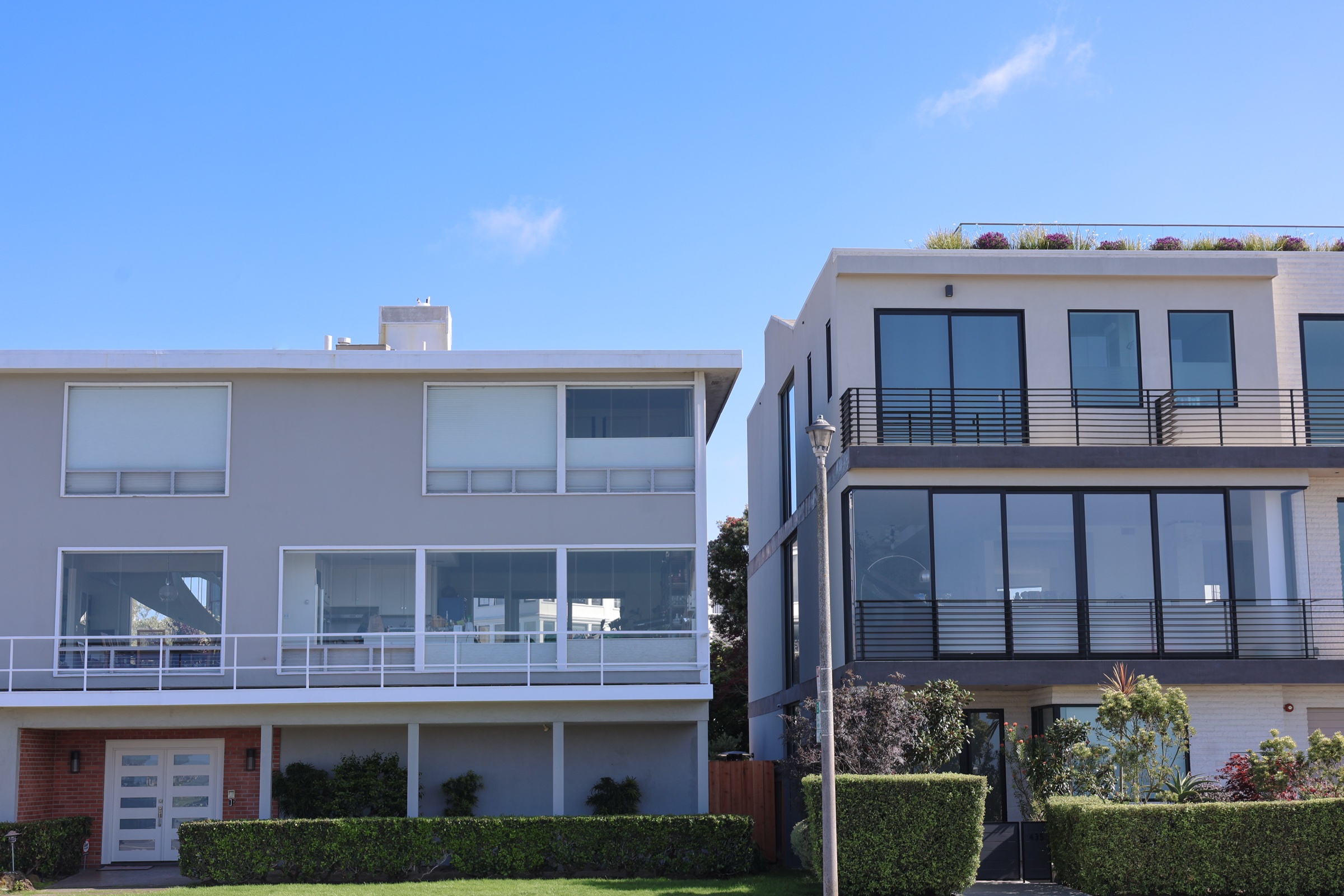 Two modern houses behind trimmed hedges